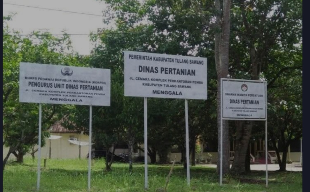 Uji nyali Dinas Pertanian Tuba Panggil Poktan Mulyo Aji Us  Diduga Gelapkan Bantuan Sapi